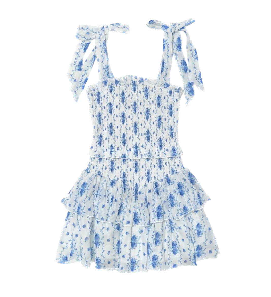 Blue Floral Emerson Dress