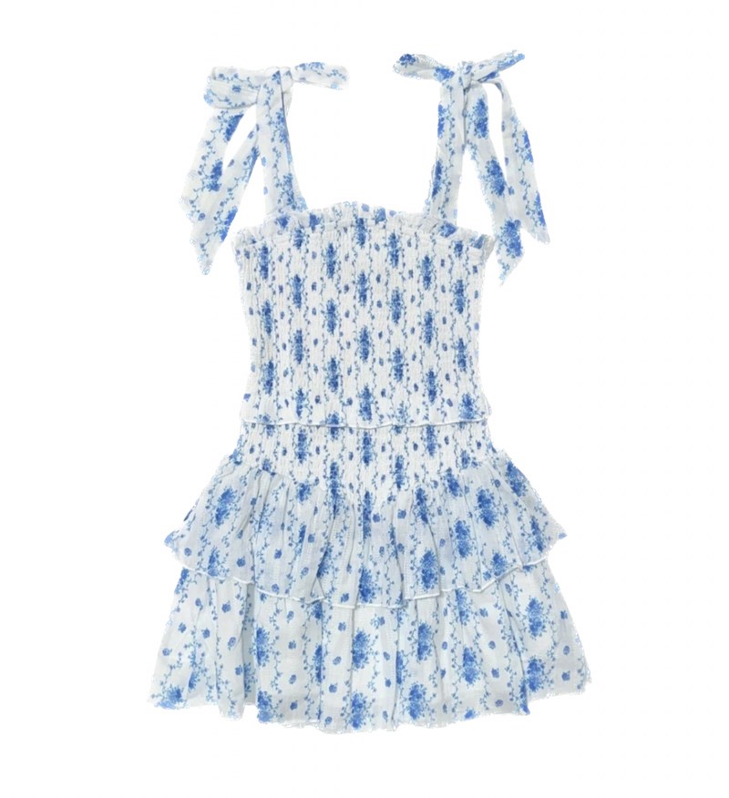 Blue Floral Emerson Dress