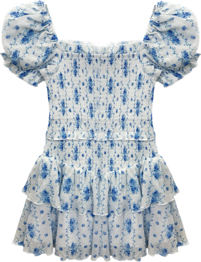 Blue Floral Lainey Dress